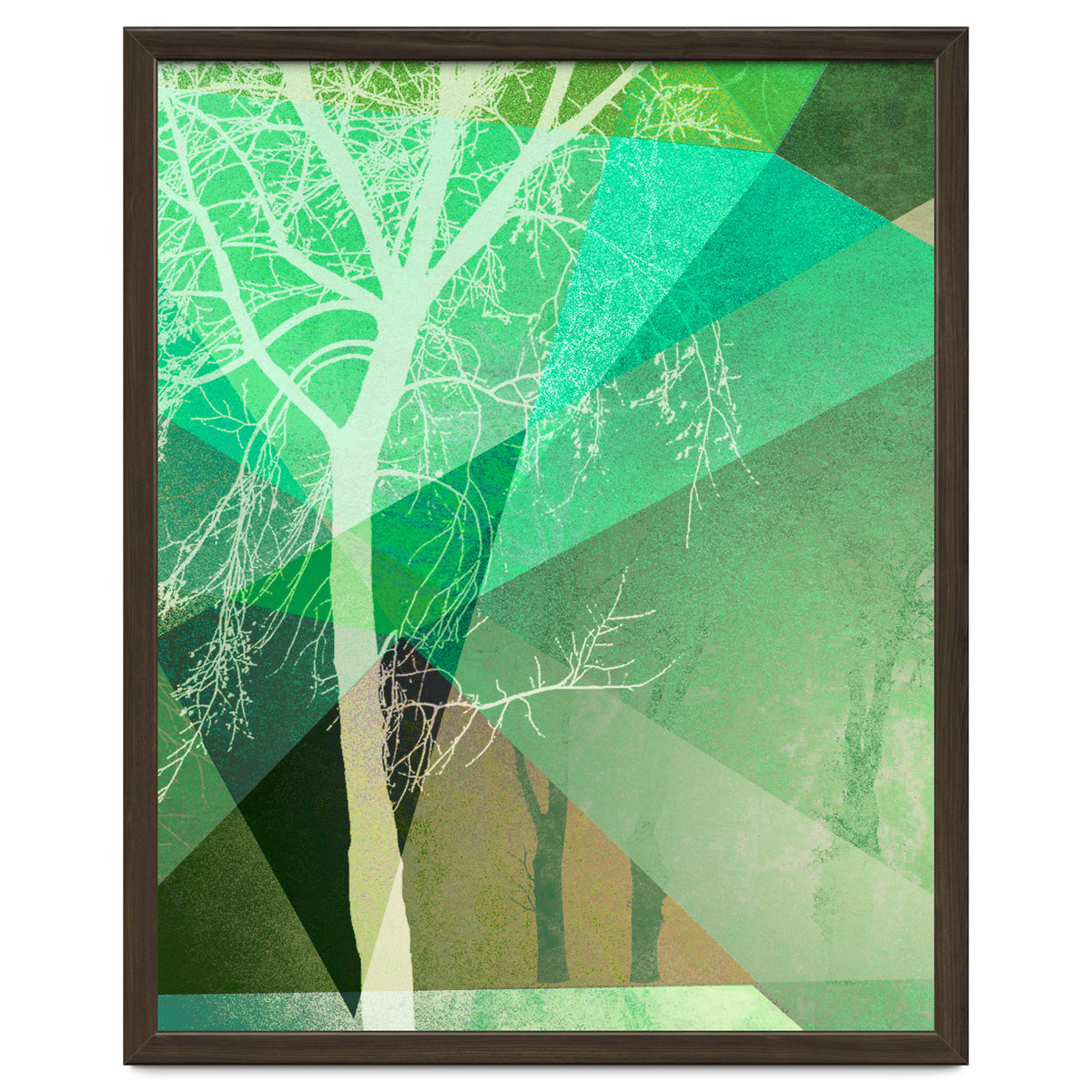 P22 B Trees And Triangles