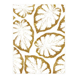 Monstera Gold (Print Only) thumbnail