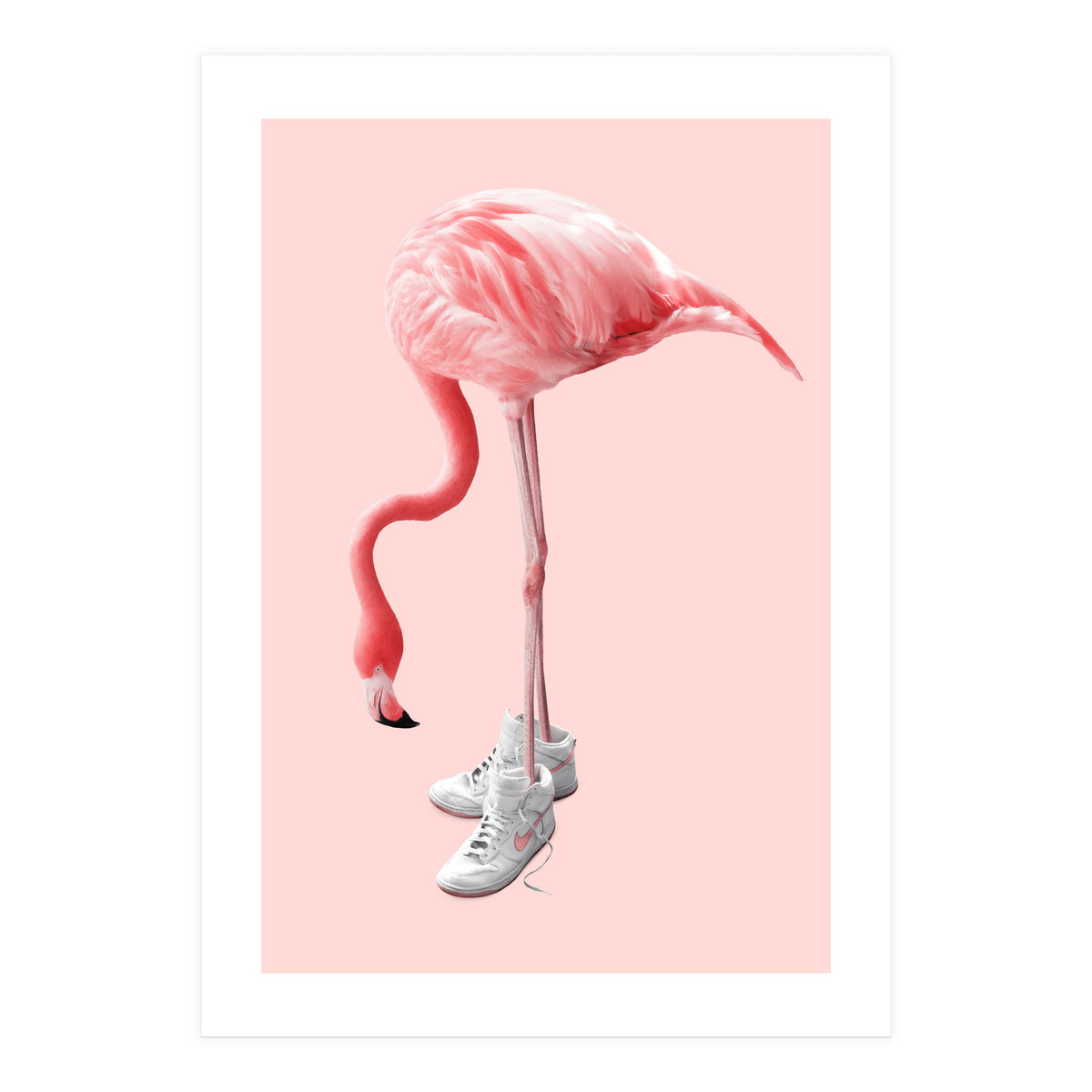Sneaker Flamingo (Print Only)