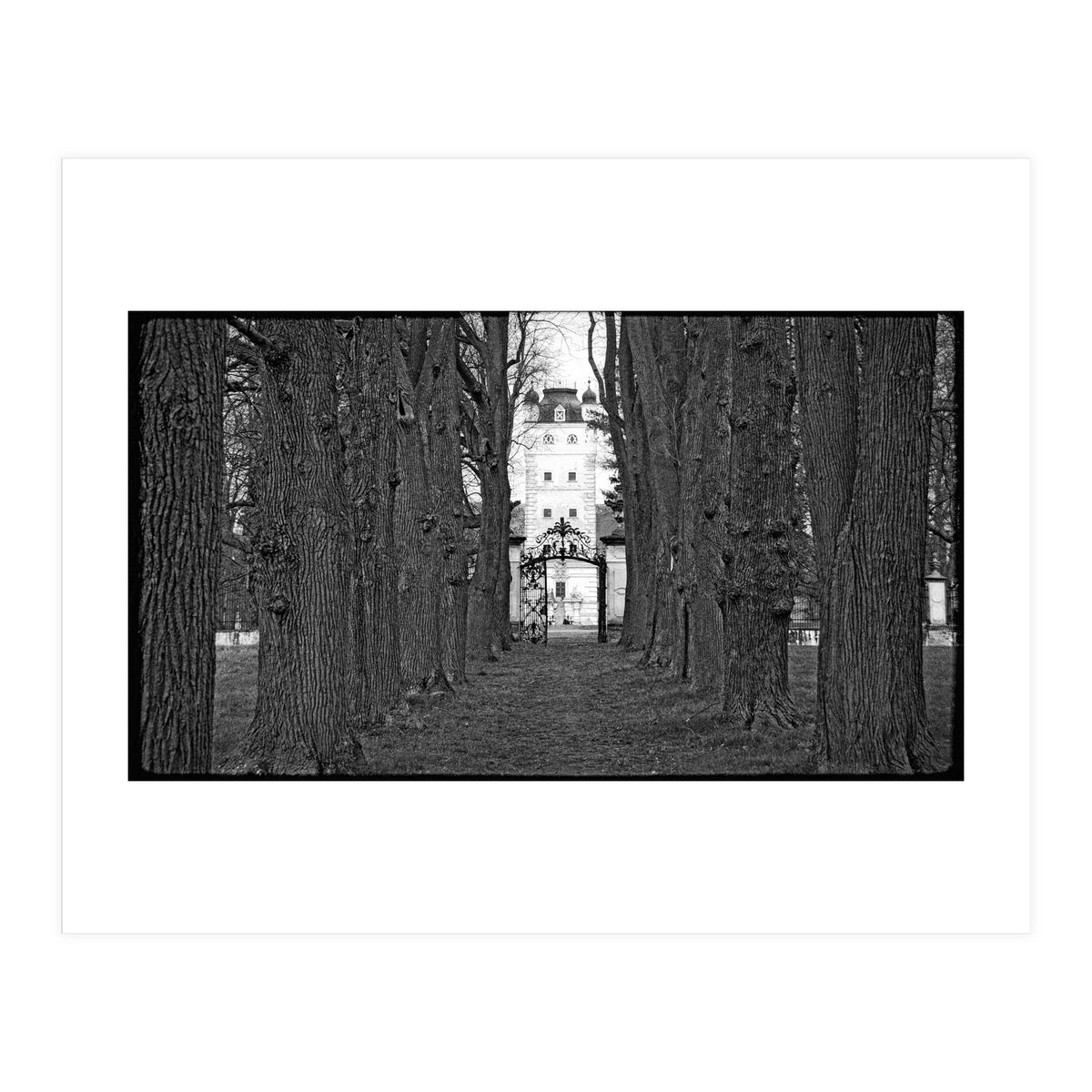 Old alley (Print Only)