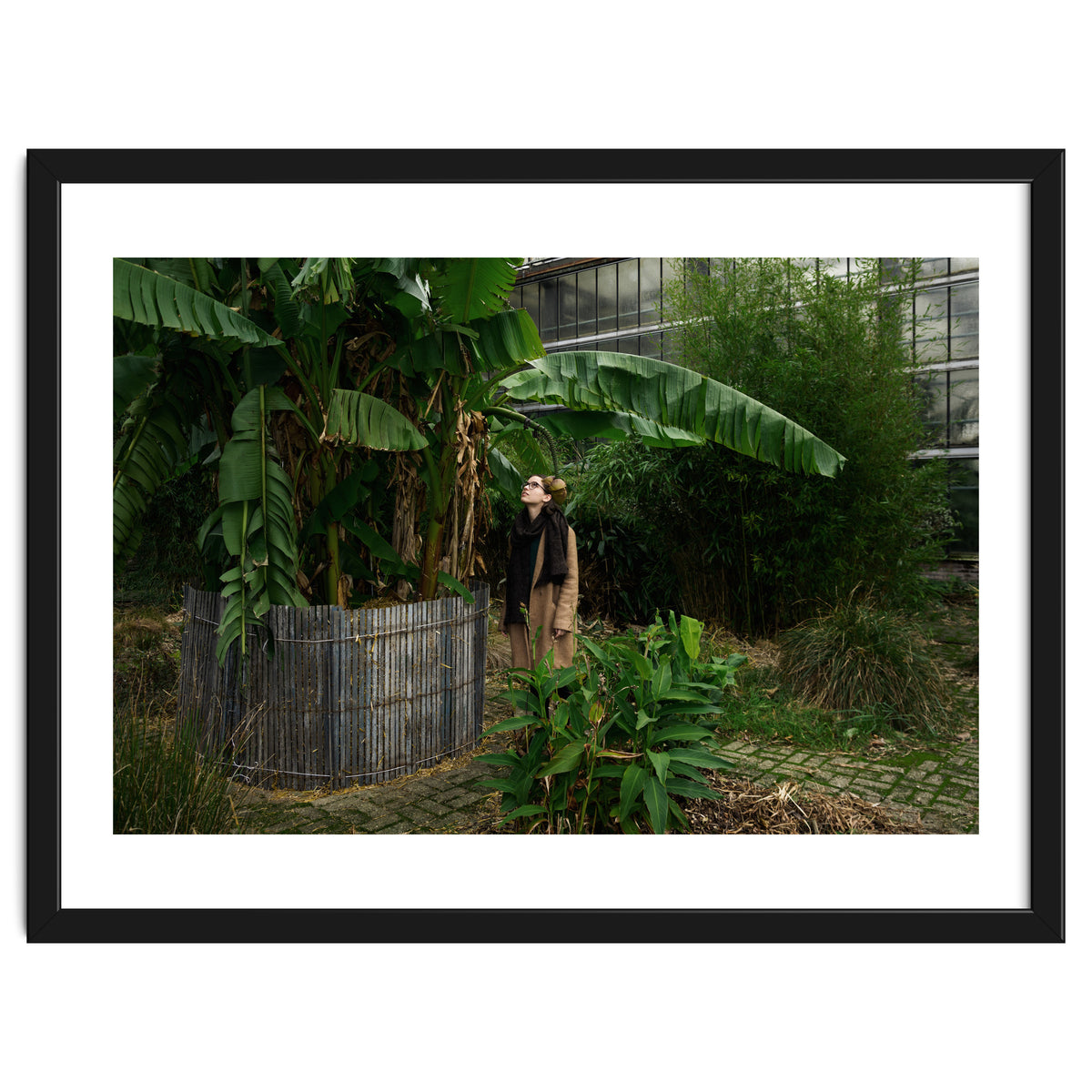 Transition from Summer to Winter