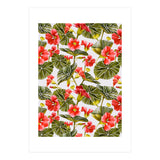 Nasturtiums watercolor 02 (Print Only) thumbnail