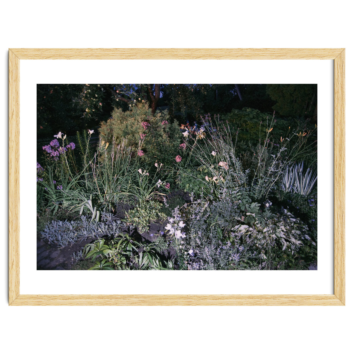 Picture Postcard Perfect