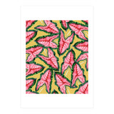 Caladium, Botanical Tropical Nature Plants, Vintage Bohemian Exotic Blush Leaves (Print Only) thumbnail