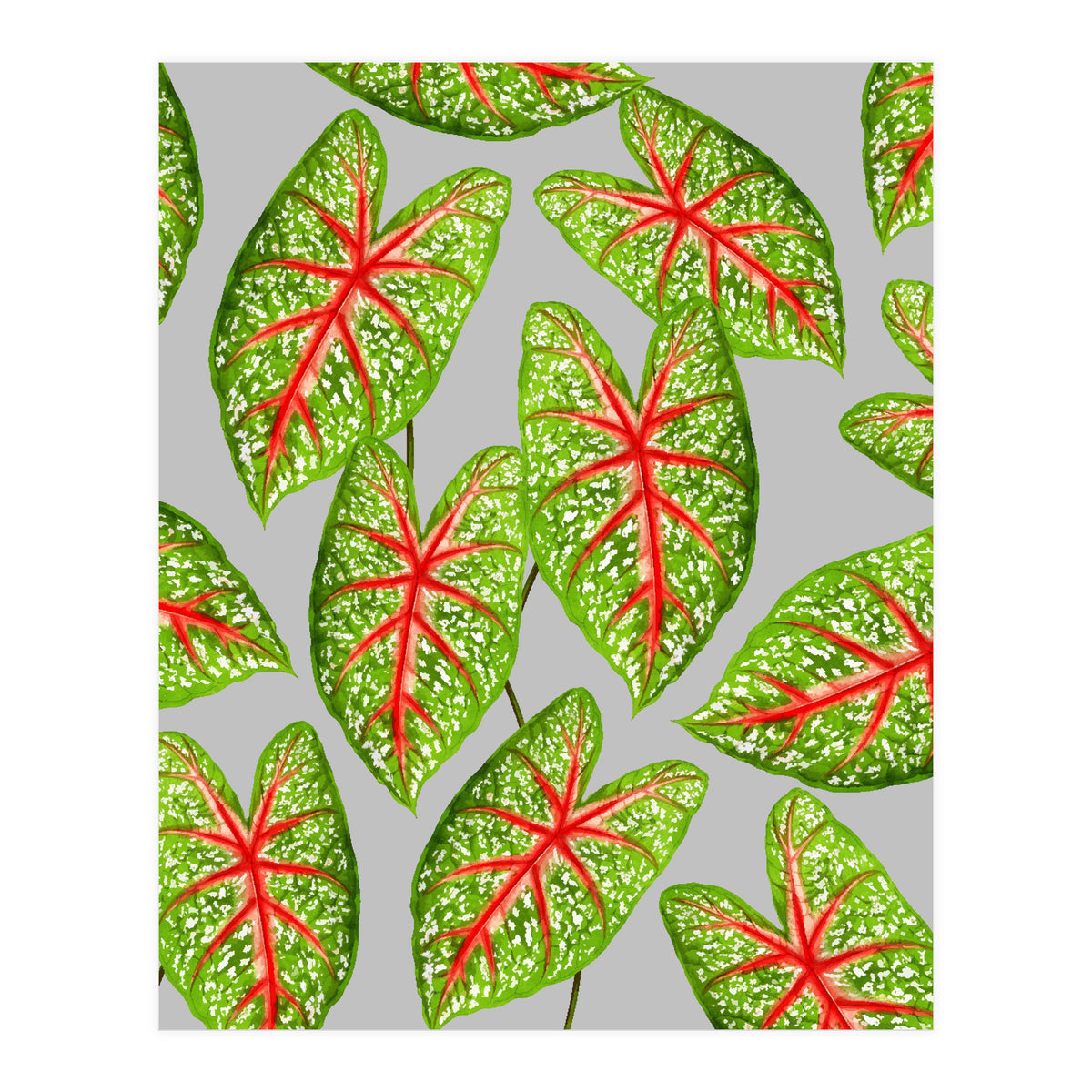 Expression Of Peace (Print Only)