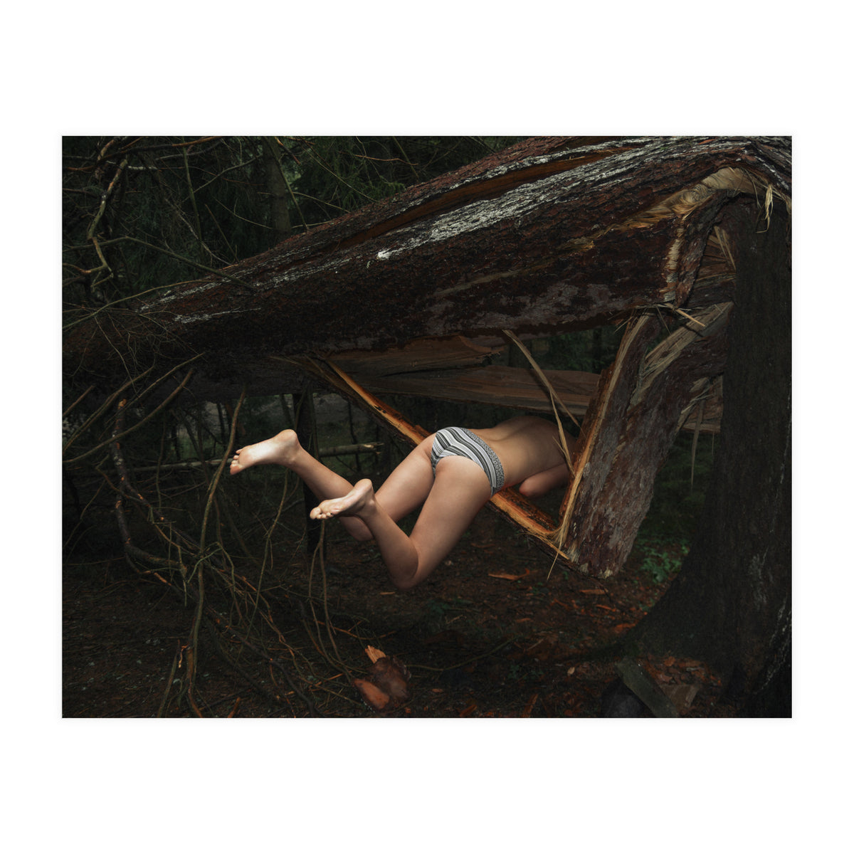 Don’t go There, It’s a Trap (Print Only)