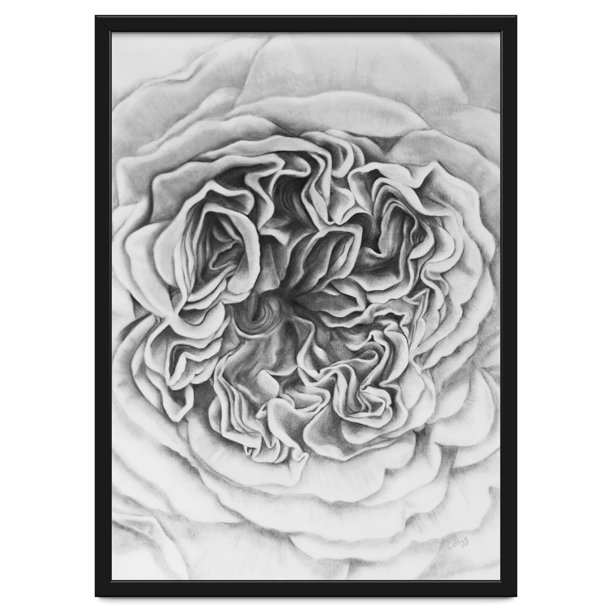 A Rose in Monochrome