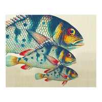 Fish Classic Designs 3 (Print Only)