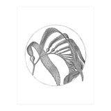 P.O. Blue Carbon (Print Only) thumbnail
