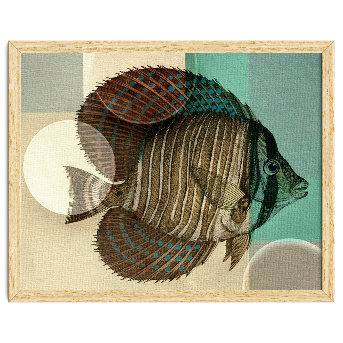Fish Between Circles 4
