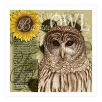 Sunflowers and Barred Owl (Print Only)