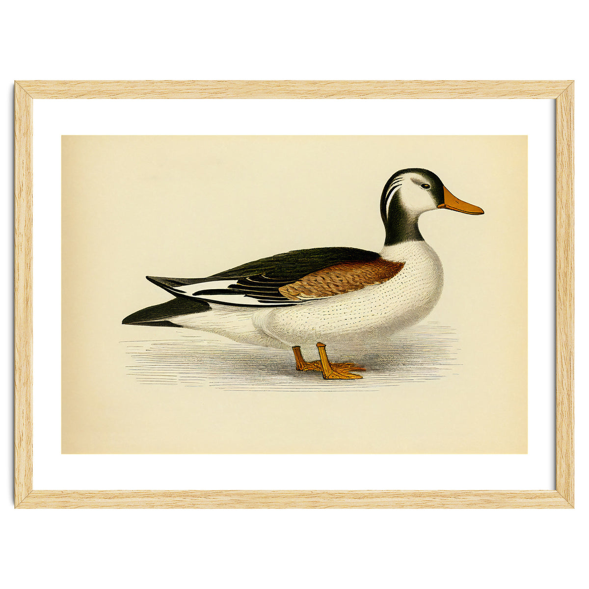 Vintage Duck Painting