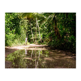 Haitian Bush (Print Only) thumbnail