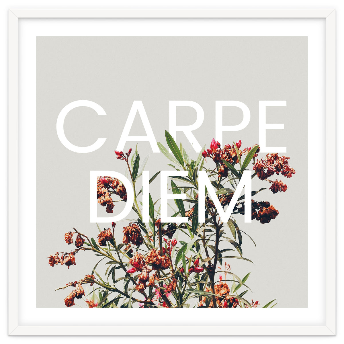 Carpe Diem