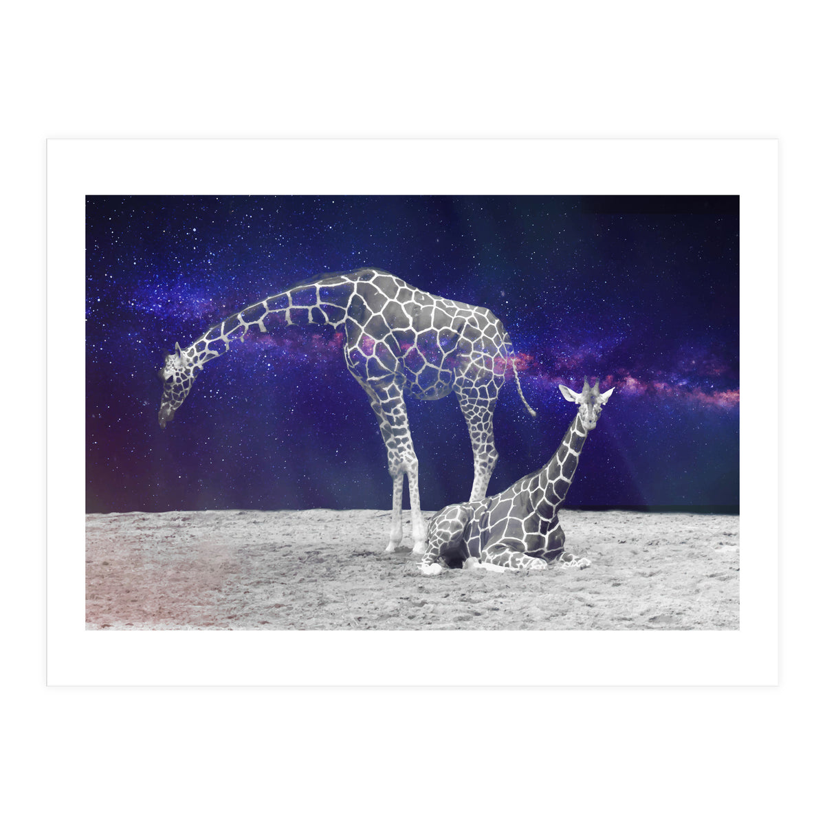 Giraffes on The Moon (Print Only)
