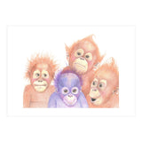 Orangutan Babies (Print Only) thumbnail