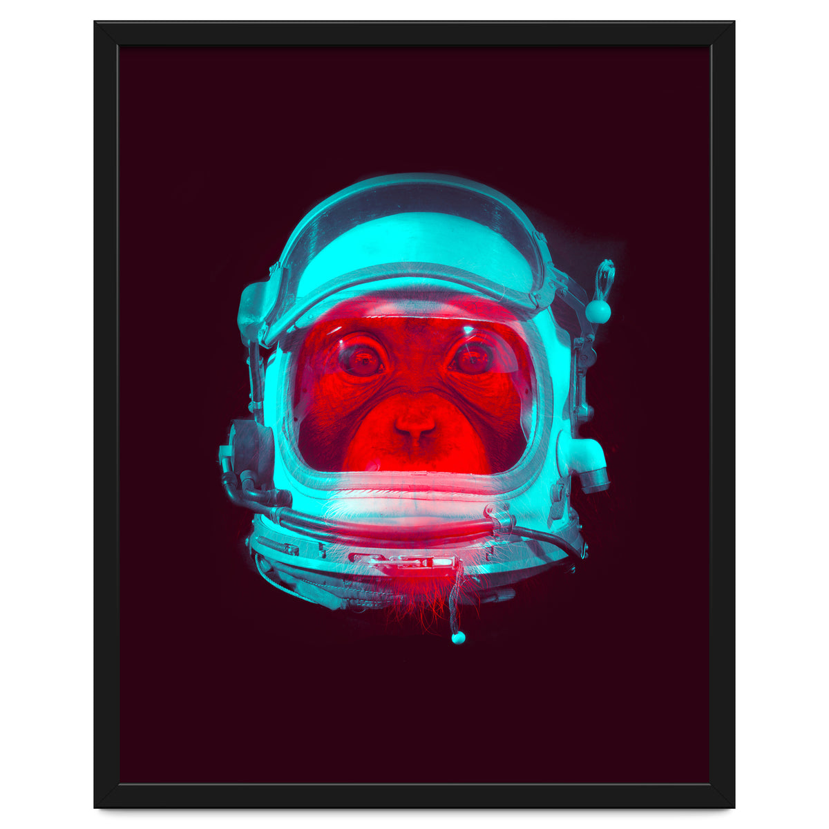 Astronaut