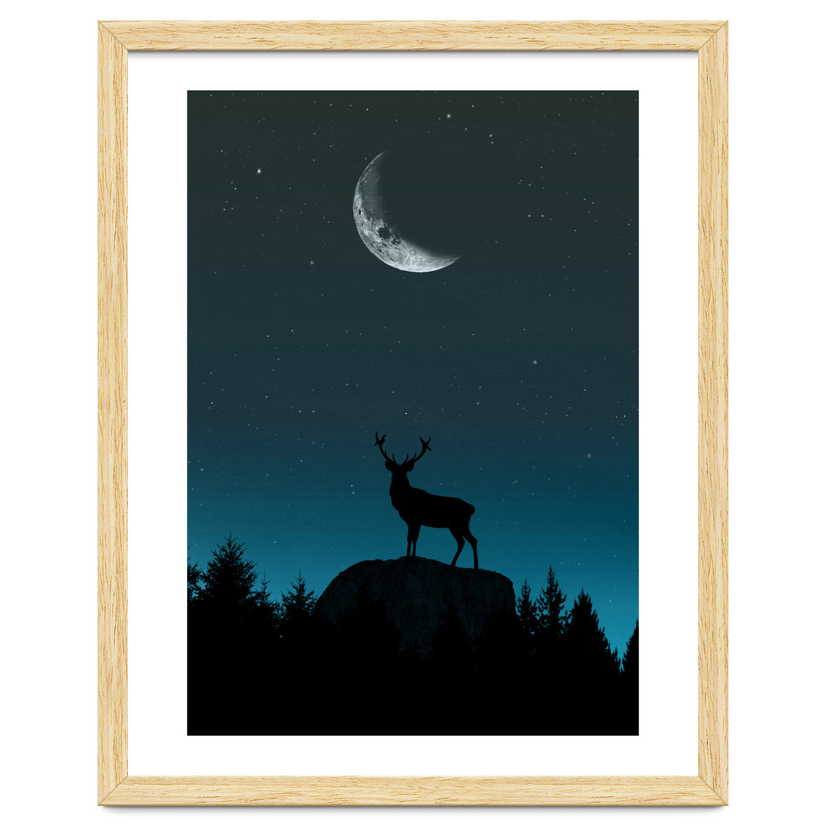 Wild Nature - Nocturne