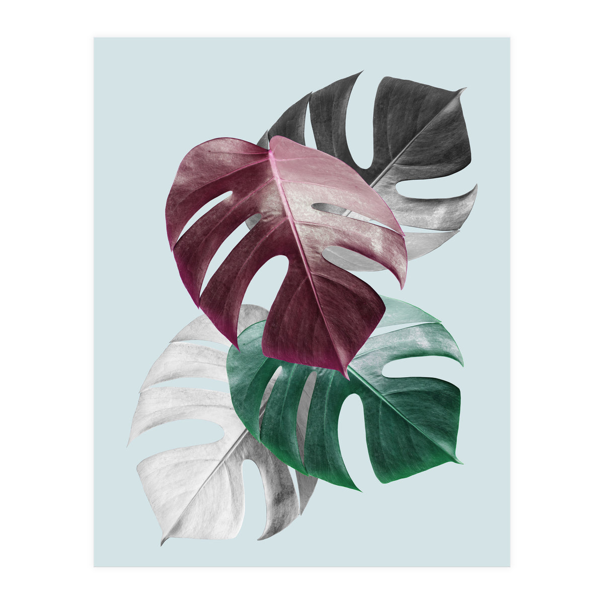 Tropical collage II (Print Only)