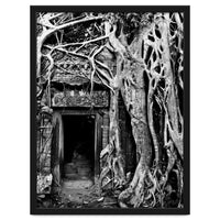 Ta Prohm Temple, Cambodia