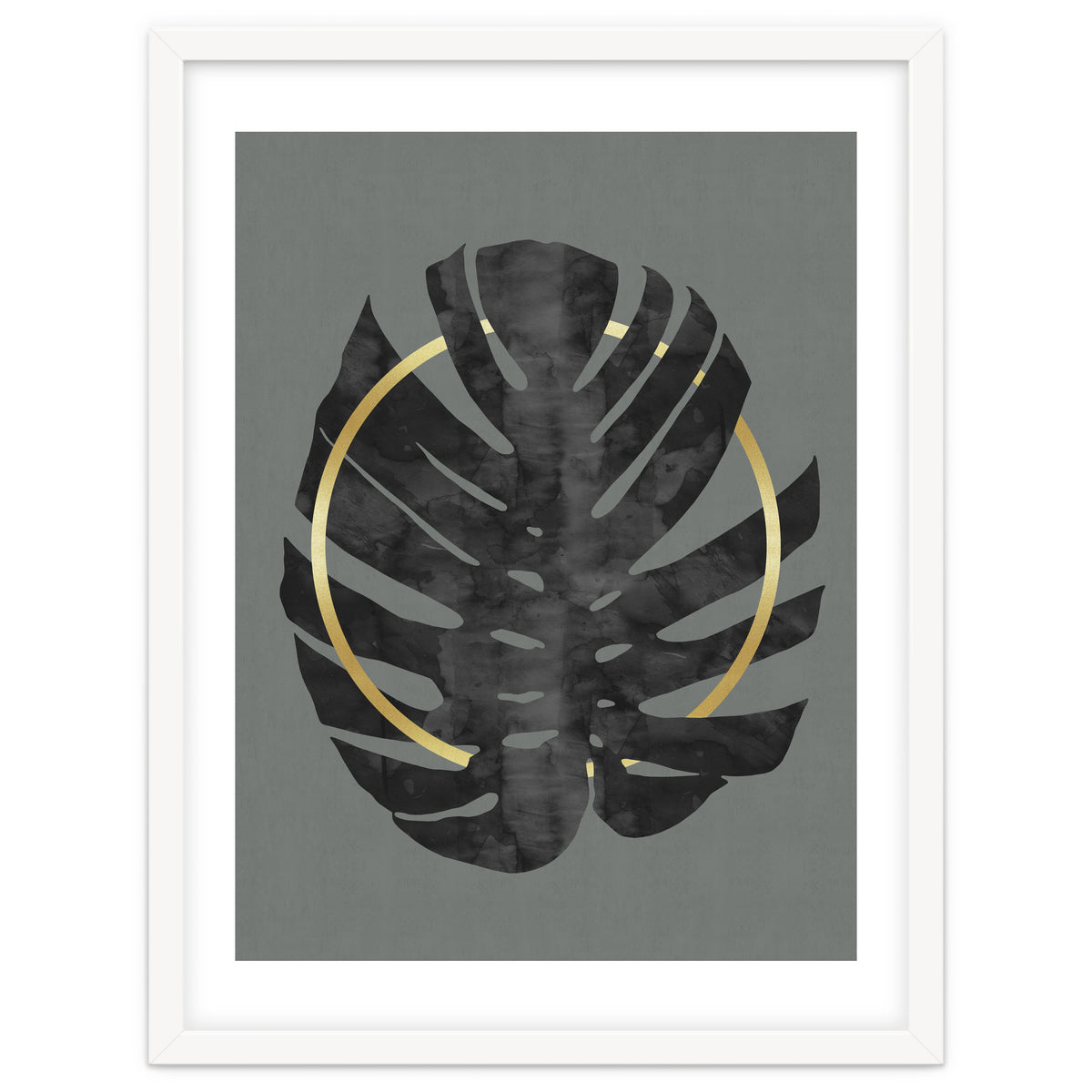 Monstera Deliciosa I