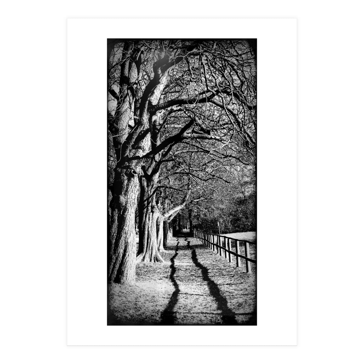 Light and shadows (Print Only)