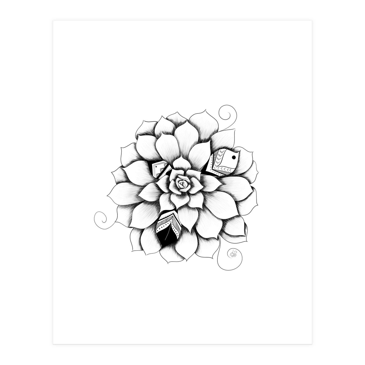 Poetic Echeveria Plant (Print Only)