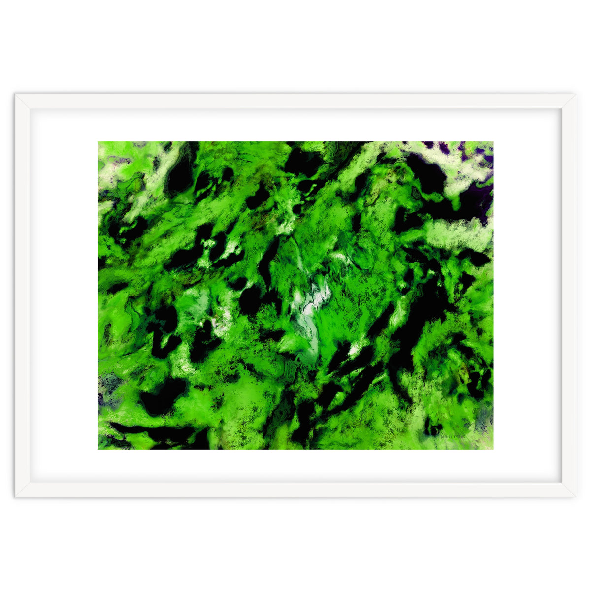 More Distinguishing Marks