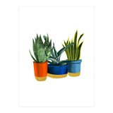 Little Garden (Print Only) thumbnail