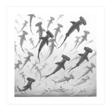 Schooling Hammerheads (Print Only) thumbnail