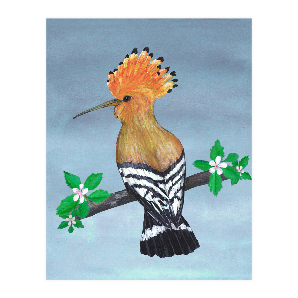 Hoopoe bird (Print Only)
