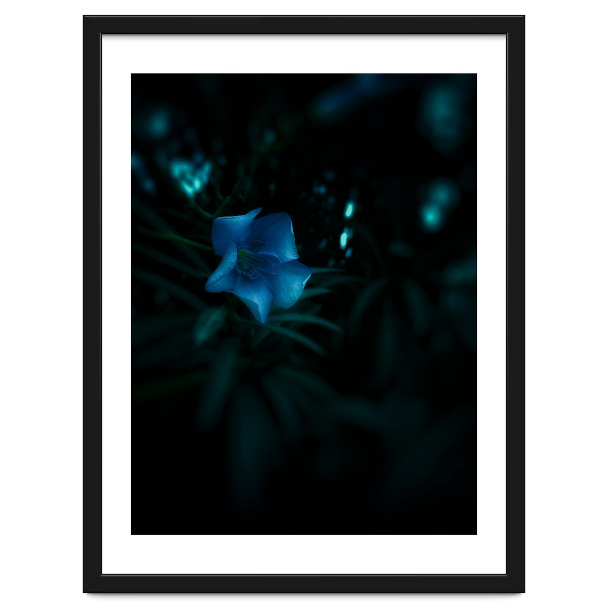 Shining Blue Floral