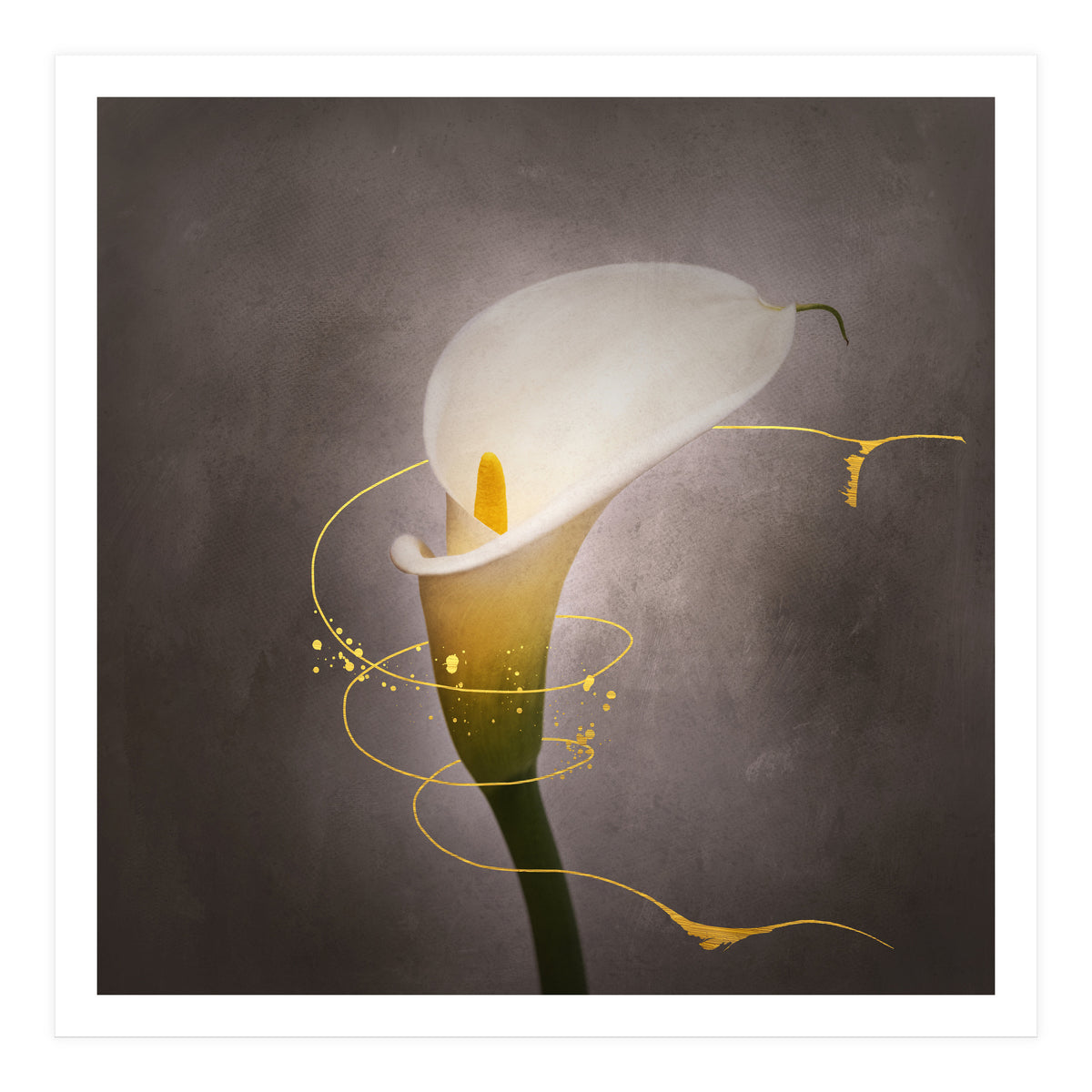Graceful flower - Calla No. 4 | vintage style gold (Print Only)
