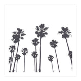 Palms & Sunset-Minimal B&W (Print Only) thumbnail