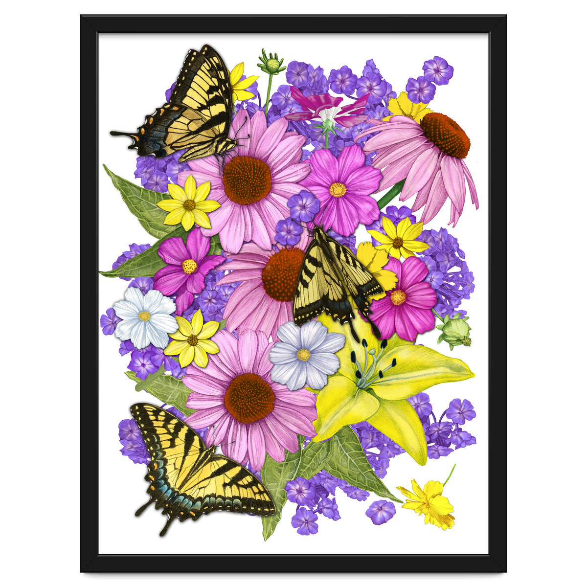Corn Flowers and Swallowtails