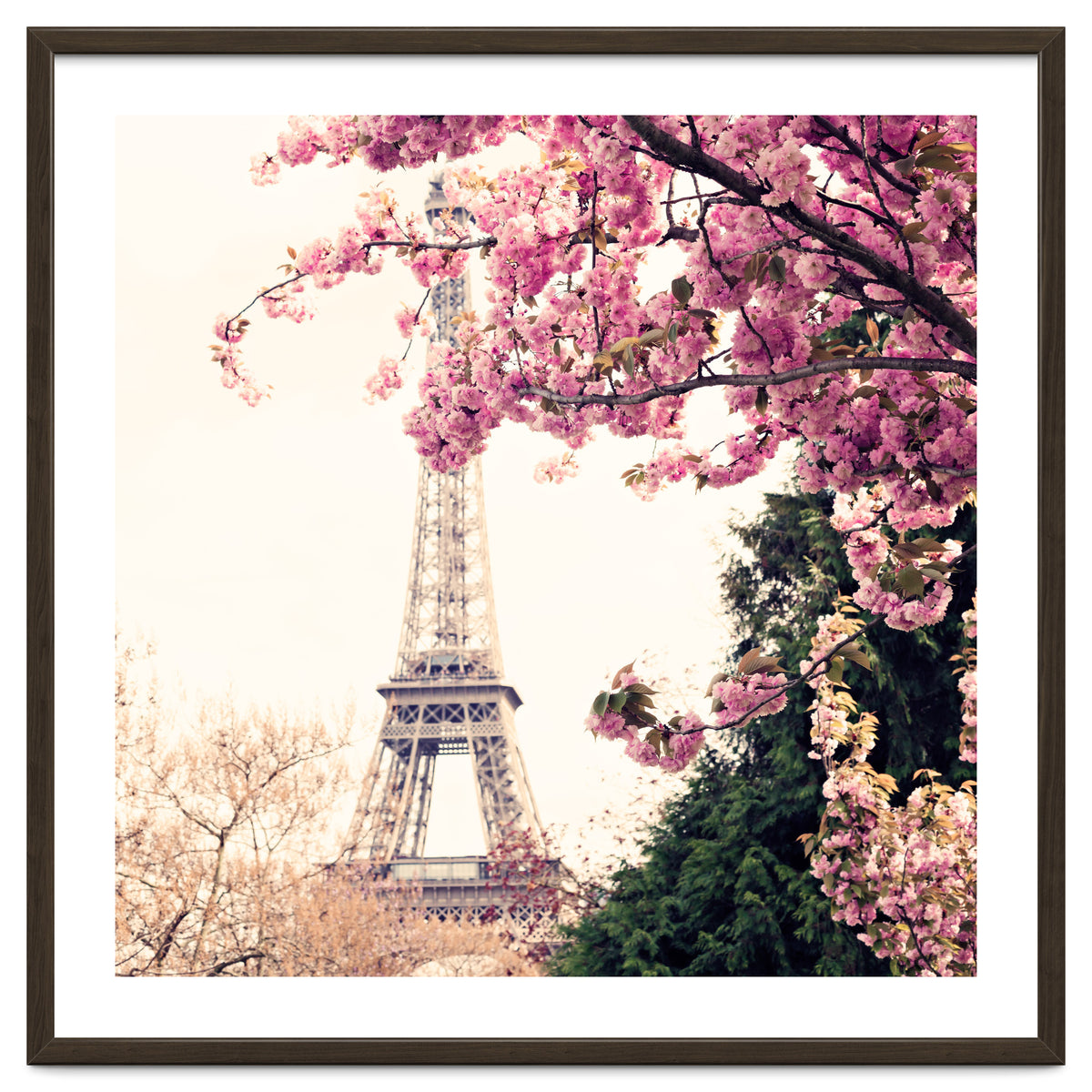 Paris in the Spring