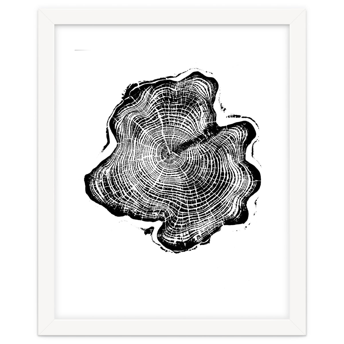 Alaskan Cypress, Tree Ring Art Print, Woodblock