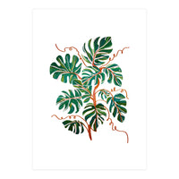 Monstera Deliciosa (Print Only)