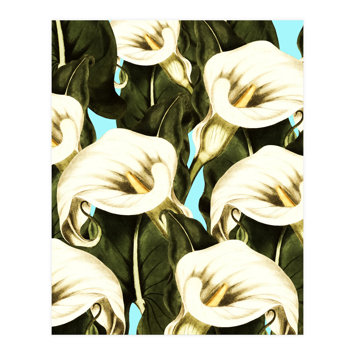 Pattern floral Ethiopian-Calla (Print Only)