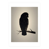 Owl Minimalist Picture (Print Only) thumbnail