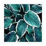 Sacred Edge (Print Only) thumbnail