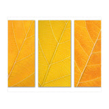 Autumn Leaves (Print Only) thumbnail