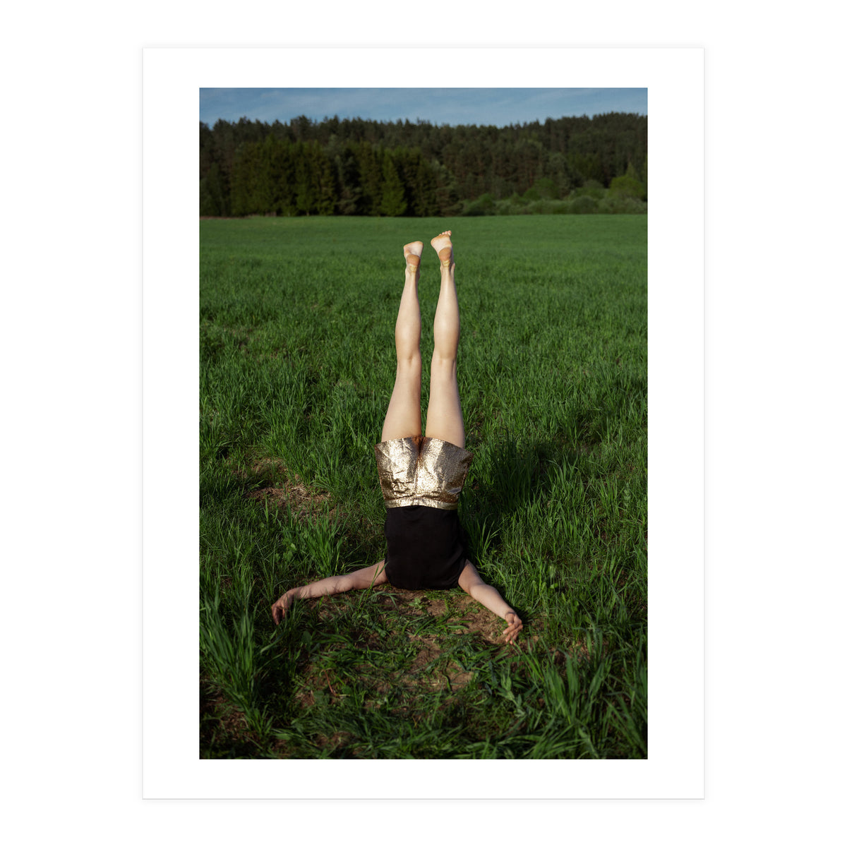 Gravity (Print Only)