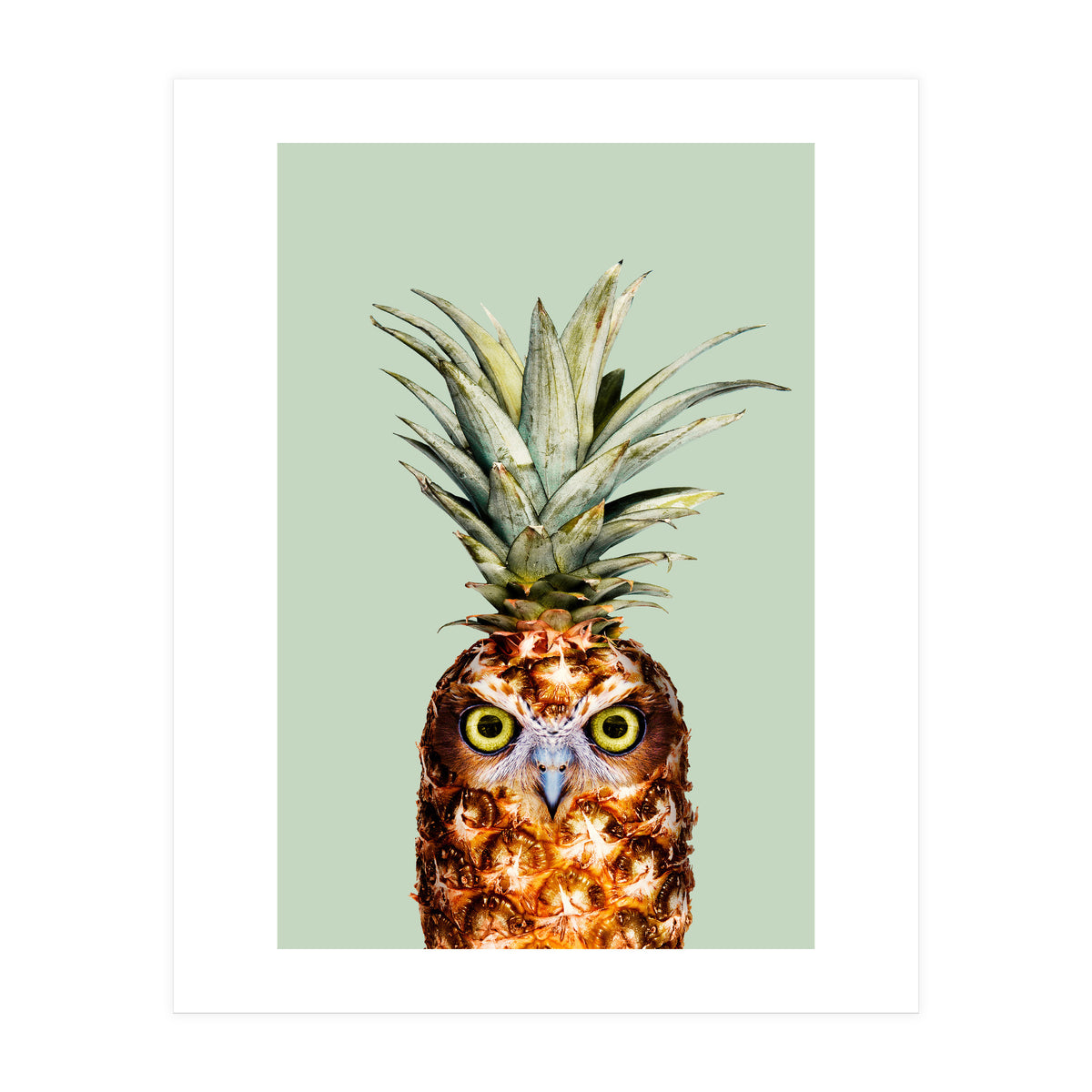 Pineapple Owl (Print Only)
