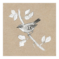 Gold crest (Print Only)