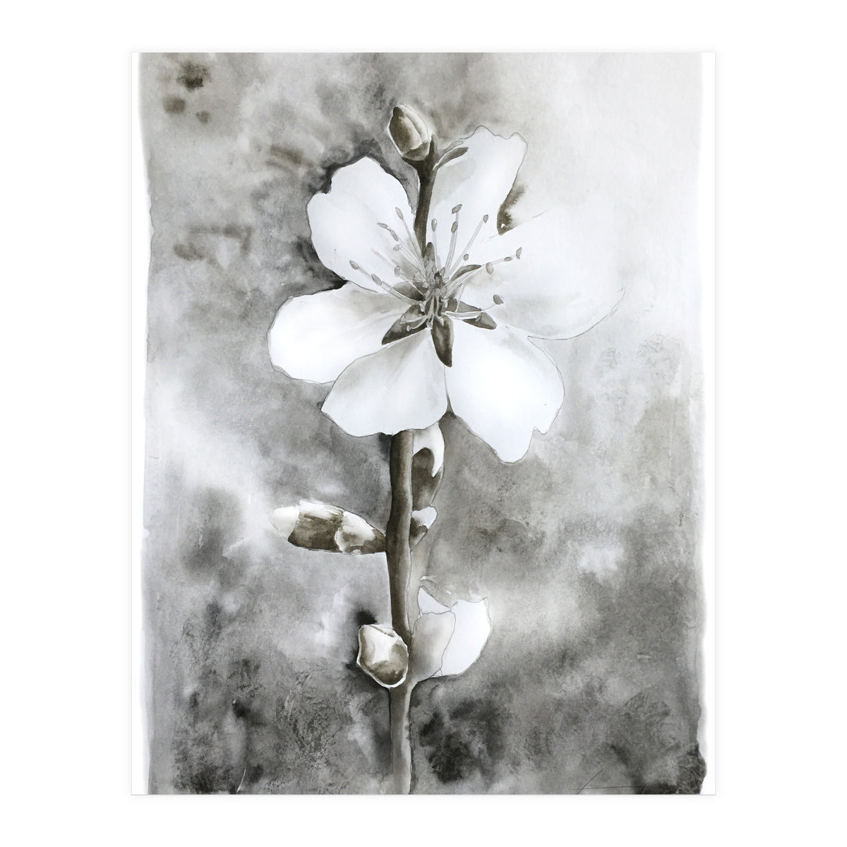 White flower (Print Only)