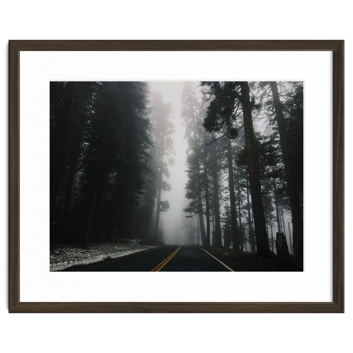 Foggy Yosemite