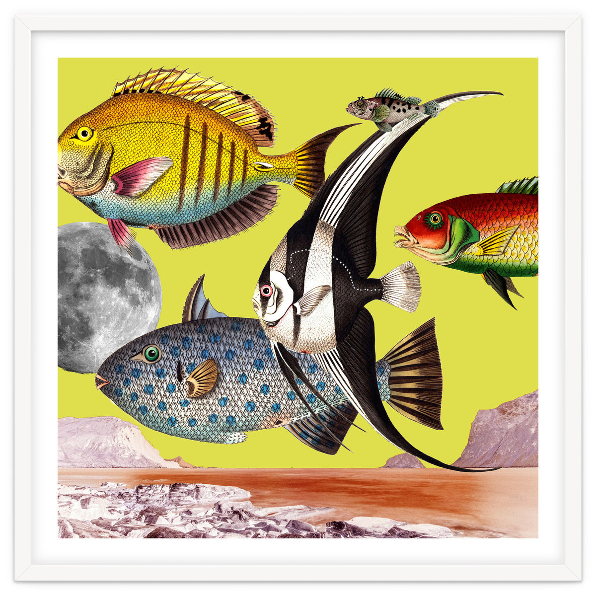 Plenty Of Fish In The Sea Yellow