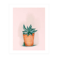 Aloe in orange pot (Print Only)