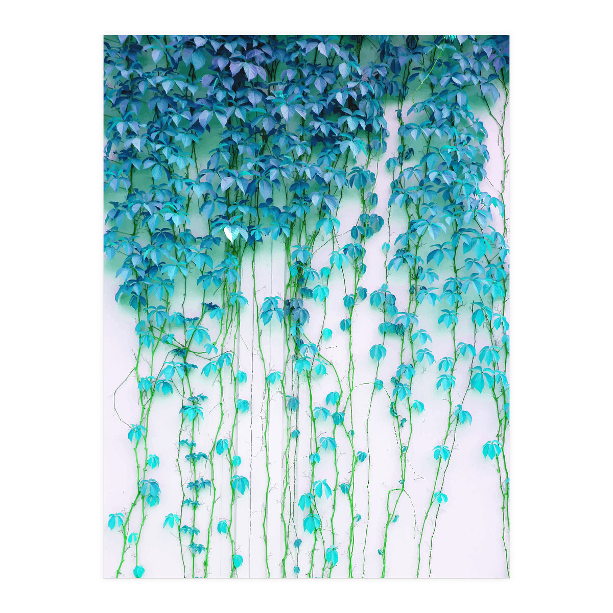 Average Absence, Botanical Minimal Nature Creepers Plants, Tropical Watercolor Bohemian Painting (Print Only)